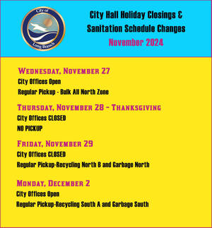 Carousel image 0320fc5a7064bca71a61 lb city hall trash pick up