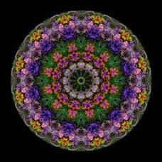 Carousel image 25d290d5b604ea3acb4a leaves grass multicolored     1 