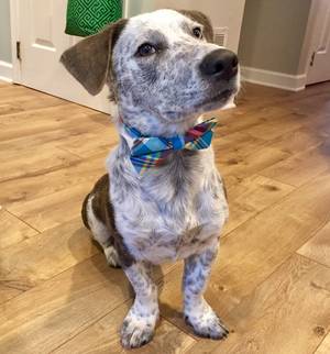 Carousel_image_a97070cbc248b623c40e_le2