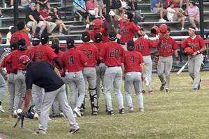 Carousel image c976aabe9050a7deeae7 left fielder dom guccia celebrates homerun with team