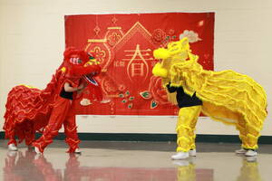 Carousel image 5575624fd5e8cb214536 lion dance  1g8a4135