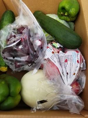 Carousel_image_9a1c357fa97fd6209a11_lions_produce