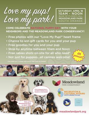 Carousel image 3457fced41d9662b4044 love my pup 26 flyer