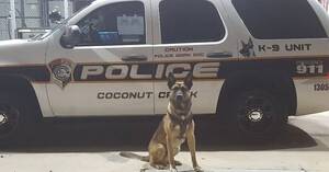 Carousel image 27a10368cb3174b00800 lucky died