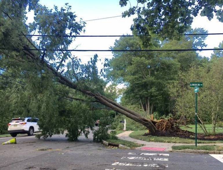 Call For Jcp L To Answer For Power Outages On Tues Meeting Agenda Tapinto