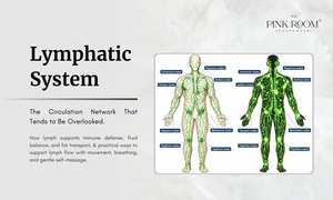 Carousel image 52736576be67f4d159ba lymphatic system