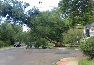 Carousel_image_d182ed009dd29e8393d1_lyonsroadisaias2