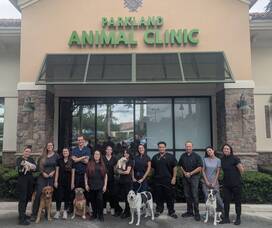 Carousel image 6fc22242fdd88db80f0a markup 1000071983