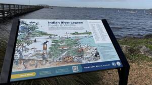 Carousel image 37be0313ed7e8a5a501f mb indian river lagoon plants and wildlife horz