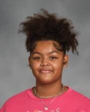 Carousel image 42424eb0d002ec42446e missing girl brocklehurst