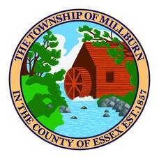 Carousel image 668bad8a9cfe3a50a728 millburn seal   2019   only