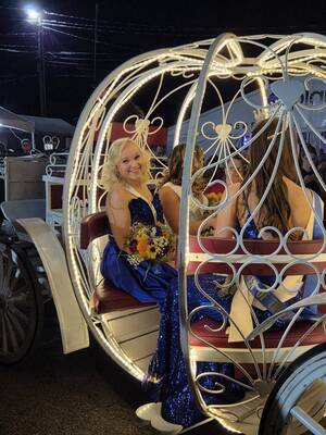 Carousel image d3baeddbf4c1568efc54 miss newton  fair 1