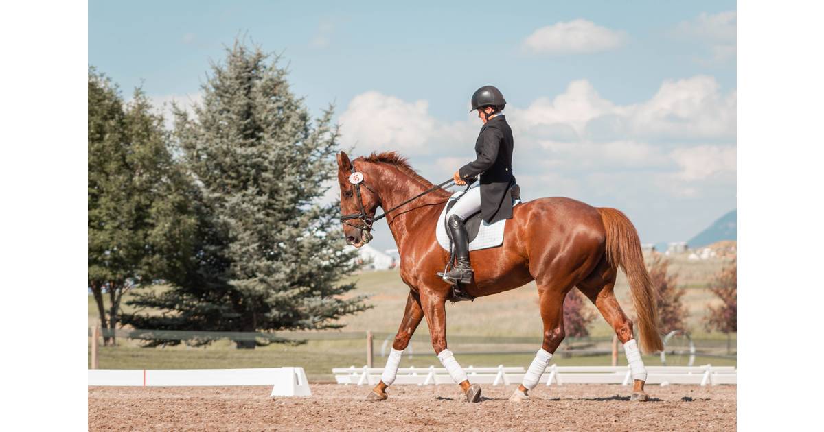 Essex Equestrian Center Announces It is Closing on December 19 West