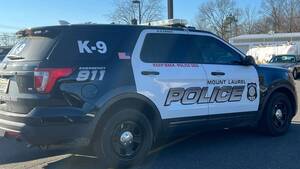 Carousel image 2bf9a1246747df69fd1a ml police car