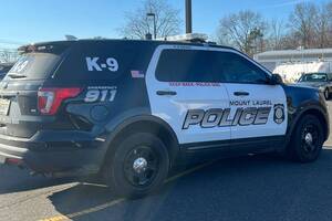 Carousel image 35fa8124ec647324ae02 ml police car