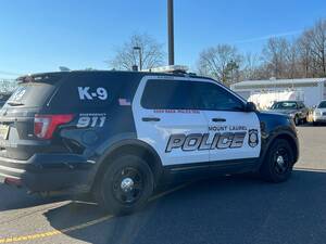 Carousel image 71d59a422c2cdc9b0e89 ml police car