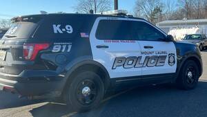 Carousel image 98ca86a9b678f3aee88d ml police car