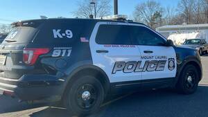 Carousel image d8ef0f6912c71236da02 ml police car