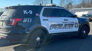 Carousel image d96d9be556e520cb279c ml police car