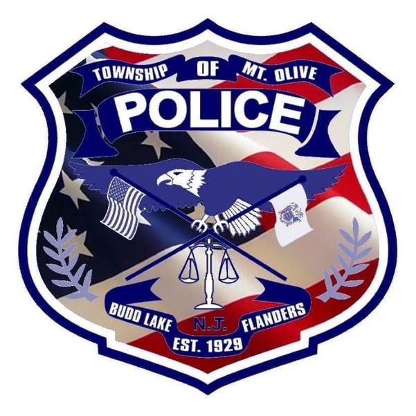 Police Roxbury Woman Calls 911 More Than 20 Times, Assaults Cops TAPinto