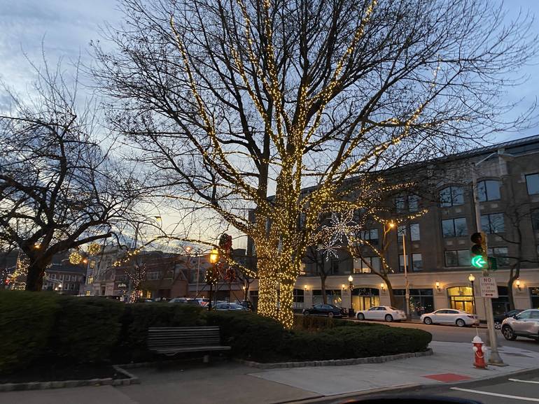 The Morristown Green Sparkles with Holiday Lights TAPinto