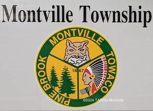 Carousel image 893235a2fdc8e3f78c17 montville township insignia