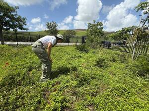 Carousel image f21103156bb3c945dd27 monica mejia wm butterly garden 1