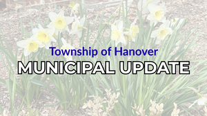 Carousel image 1022ba818a1c29e09a0b muni update daffodils