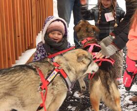Carousel image fdde173bfb53050a5366 mush  at the sharon springs free library photo 1