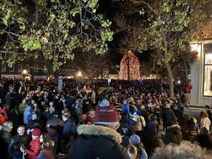 Carousel image 08cb3510baffc93262a4 nassau green tree lighting