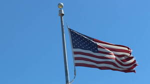 Carousel image 08d079c27c7da17a8d63 new jersey and us flag