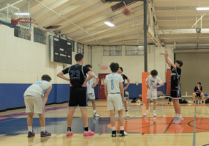 Carousel image 236a4c10aae82238e16e nettingham championship   maison freethrow