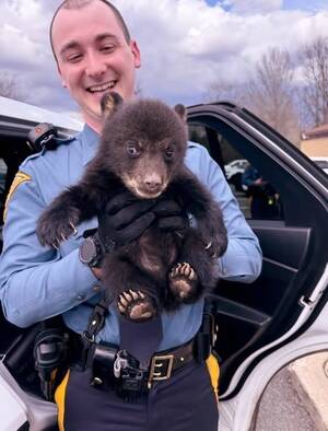 Carousel image 1c28ef 