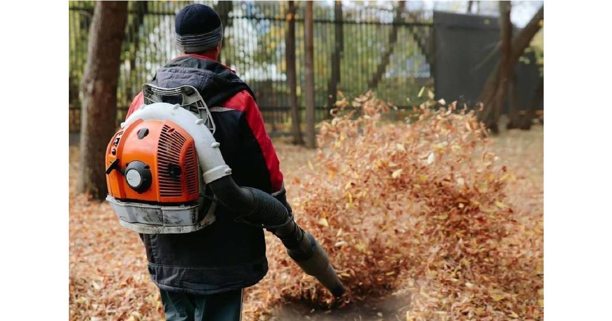 NJ Considers Statewide Restrictions on GasPowered LeafBlowers