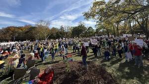 Carousel image 0ddf09ca4f631136ff2c no kings8