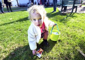 Carousel image d44636f357a2e77d1ef8 north chatham easter egg hunt 67