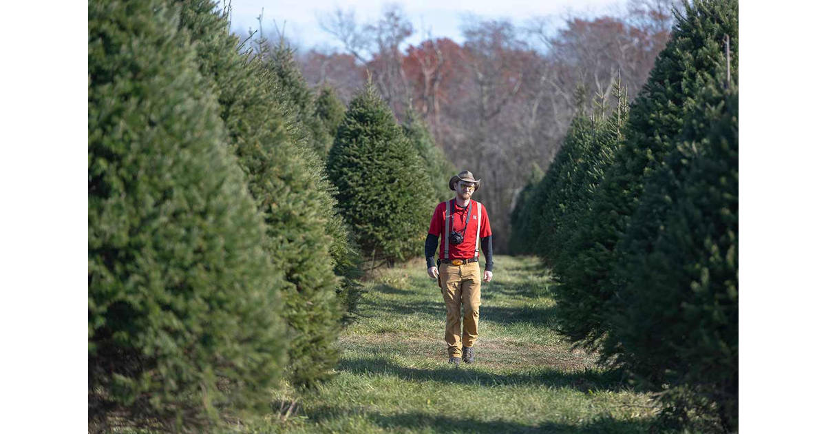 How to Choose the Perfect Christmas Tree Raritan Bay, NJ News TAPinto