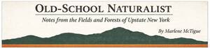 Carousel image 98bef7a11df21d4a93e4 old school naturalist logo