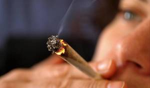 Carousel_image_317c267e7a8e701462c7_on_the_campaign_trail__marijuana_