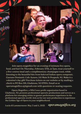 Carousel image a0bba34e3de07f451a0a opera dinner