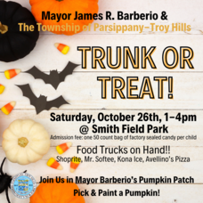 Carousel image 26d66c75f5c33b417776 pars trunk or treat