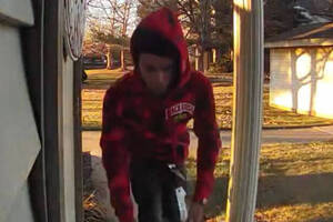 Carousel image add96c porch pirate new britain township