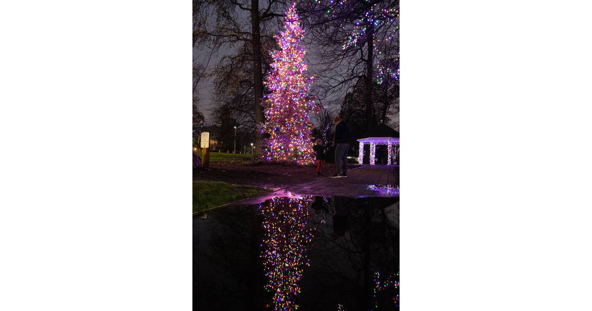 Paramus Braves Soggy Weather, Hosts Winter Wonderland, Christmas Tree