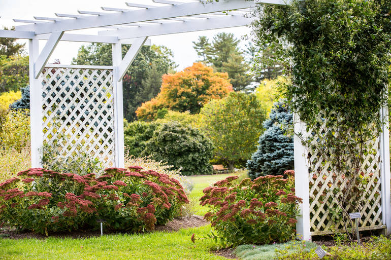 Perennial Garden White copy (1).jpg