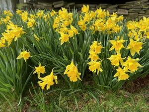 Carousel image 304bb959b1ec1e960ee3 photo   jefferson