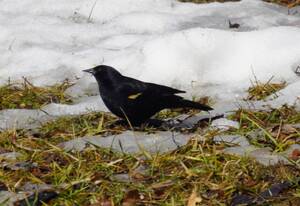 Carousel image 49600dcfefaac354a37e photo   carlisle