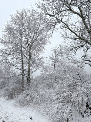 Carousel image 910bdadb37814bc36c8e photo   jefferson