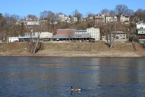 Carousel image a97b0f24acaee5cabc13 photo feb 23  3 26 08 pm