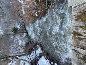 Carousel image e2592a5b163e3c0ad1df photo   worcester schenevus