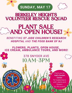 Carousel image 0f94acfe9f6aed96814b plant sale bhvrs